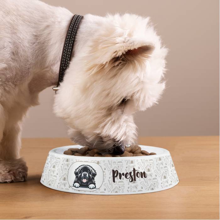 Personalizovaná plastová miska pre psov - Plemeno psa Personalizovaná plastová miska pre psov - Plemeno psa