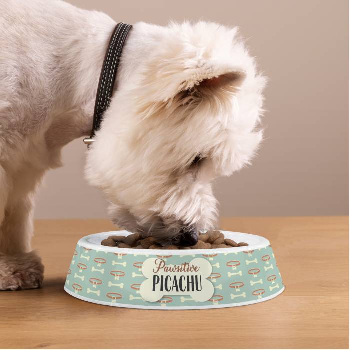 Personalizovaná plastová miska pre psov - Pozitívne labky Personalizovaná plastová miska pre psov - Pozitívne labky