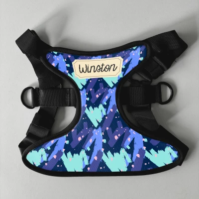 Personalizovaný postroj pre psa - S menom