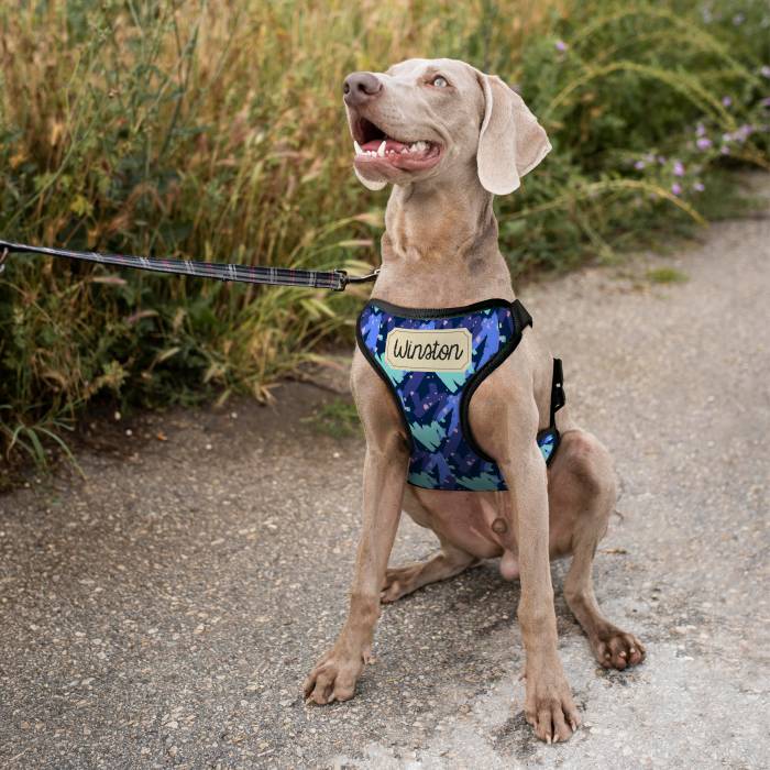 Personalizovaný postroj pre psa - S menom Personalizovaný postroj pre psa - S menom