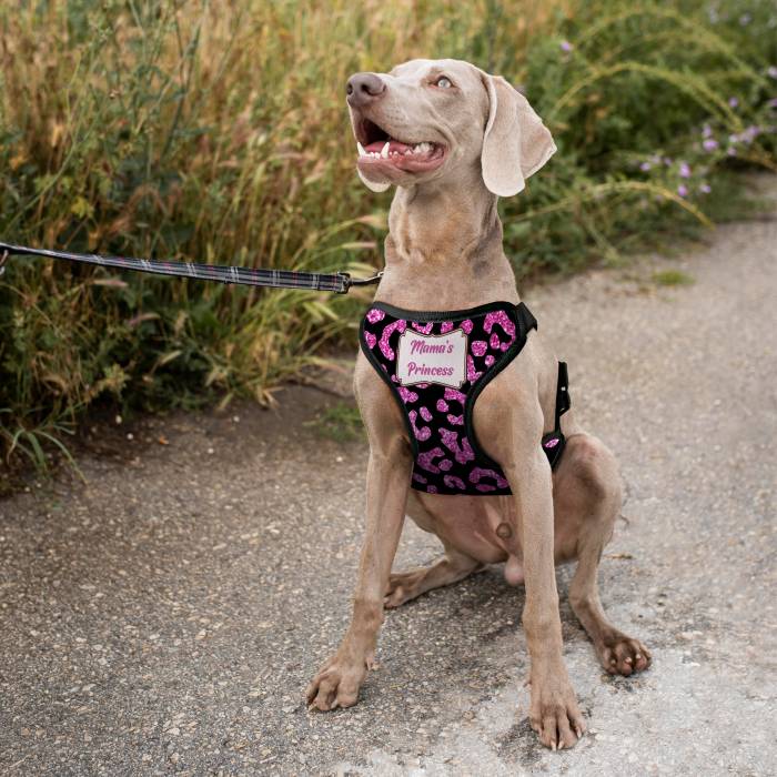 Personalizovaný postroj pre psa - Princezná