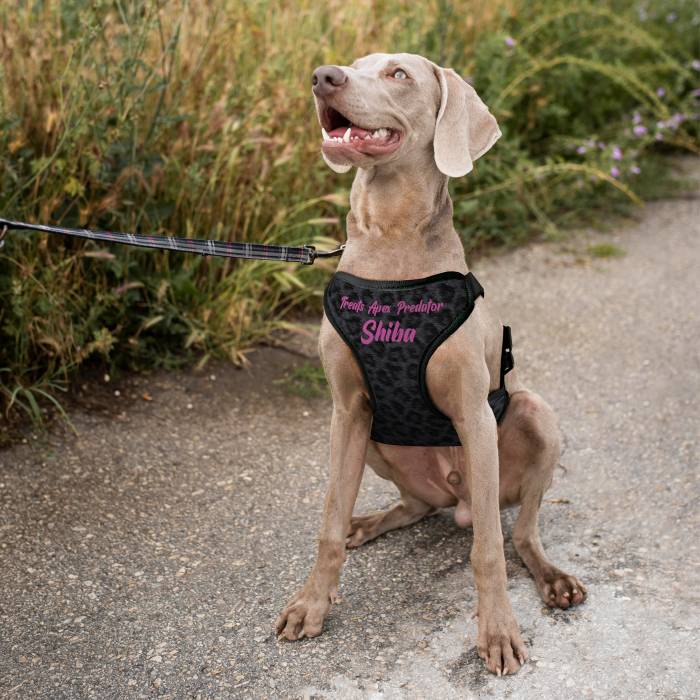 Personalizovaný postroj pre psa - Predátor