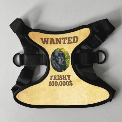 Personalizovaný postroj pre psa - Wanted
