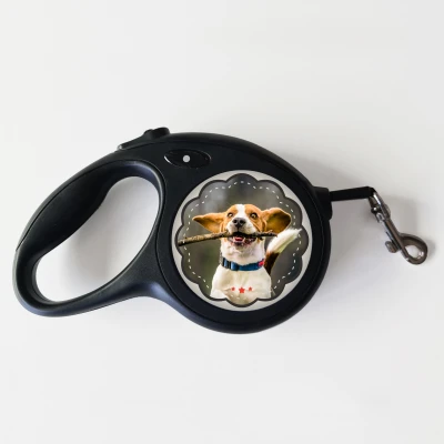 Vodítko pre psa – Všetko, čo potrebujete