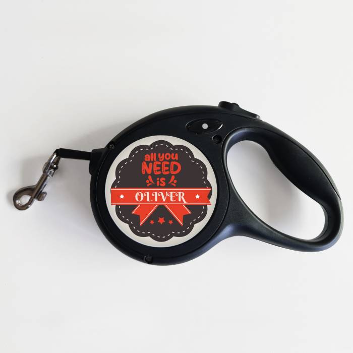 Vodítko pre psa – Všetko, čo potrebujete