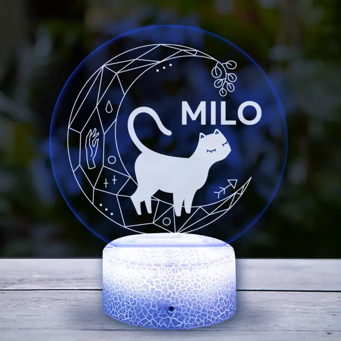 Prispôsobená led lampa s mačkou