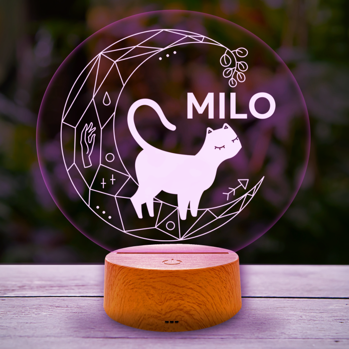 Prispôsobená led lampa s mačkou