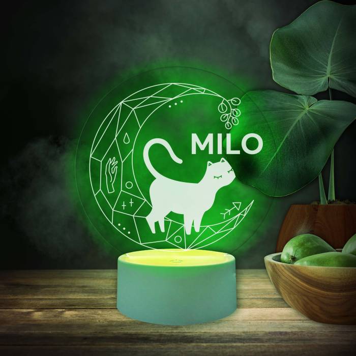 Prispôsobená led lampa s mačkou