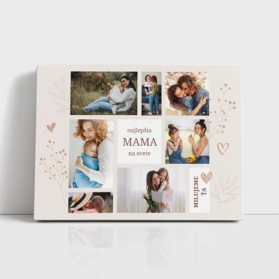 Obrazy na plátne - Best mom