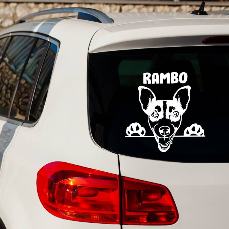 Autonálepka Zvedavý pes